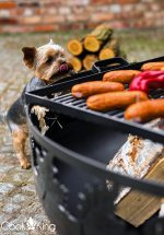 Vrtno kurišče - COOK KING TORONTO - slika 17