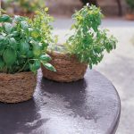 Vrtni kamin - PALAZZETTI SUMATRA - slika 4